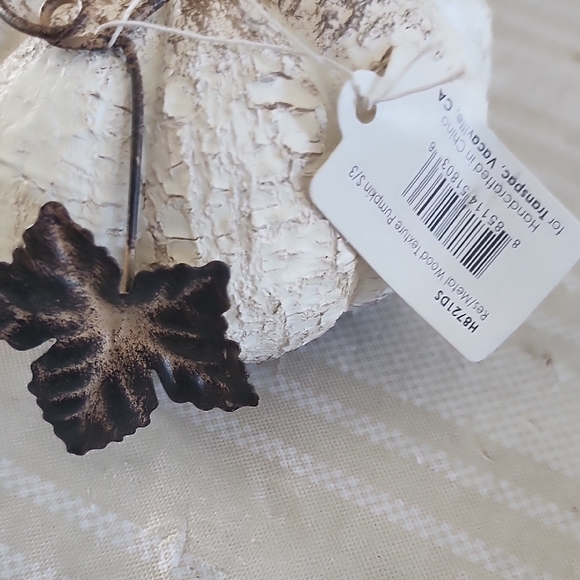 TAG Rustic Cream Pumpkin Decor - Picture 5 of 6